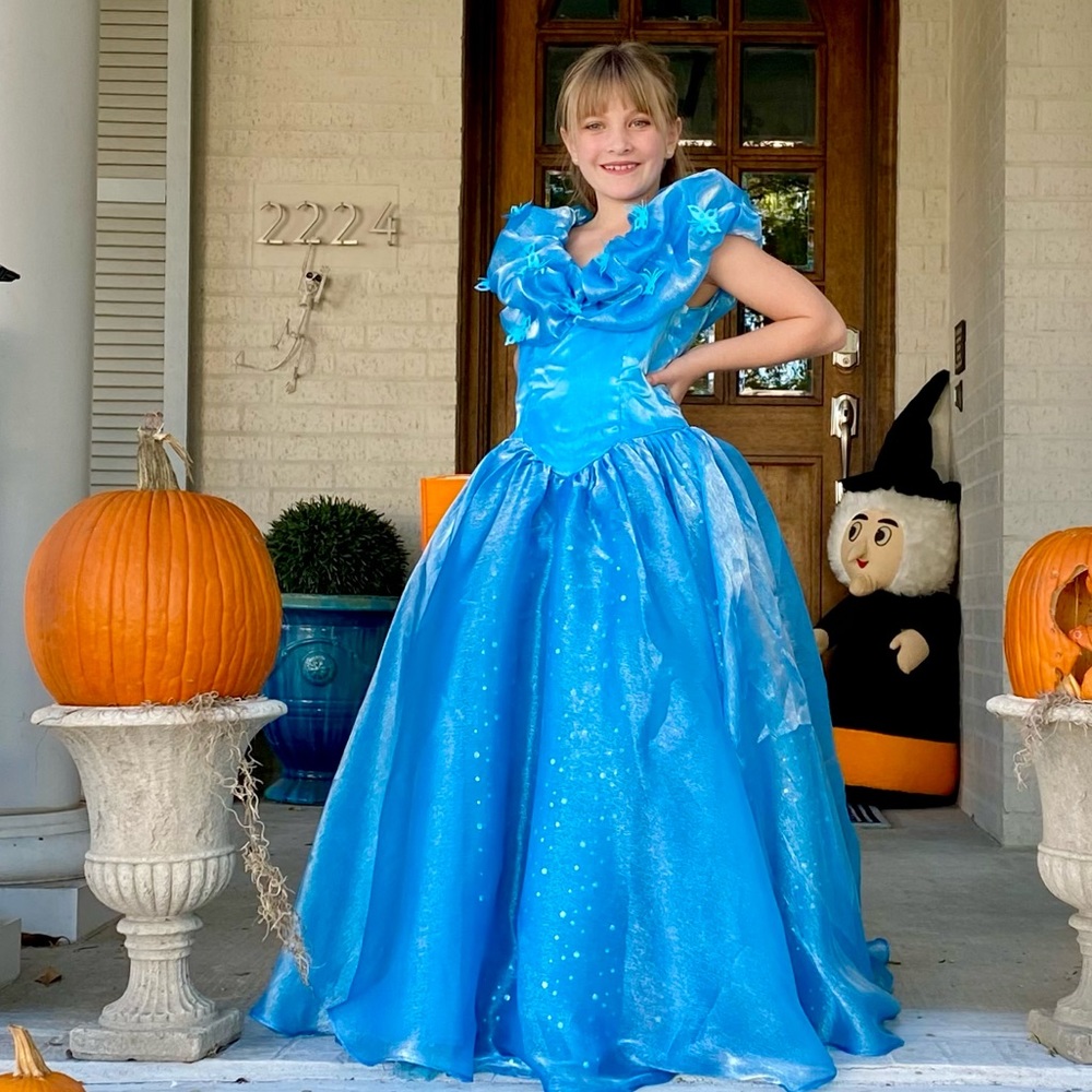 Custom Cinderella Gown Costume with Butterfly Detailing on the Bust